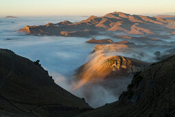 sunrise, ground fog, fogging, morning fog, hills, valleys, view from the ridge of Te Mata Peak, Hawke's Bay, hill country, North Island, New Zealand