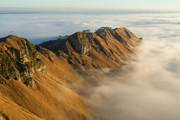 sunrise, ground fog, fogging, morning fog, hills, valleys, view from the ridge of Te Mata Peak, Hawke's Bay, hill country, North Island, New Zealand