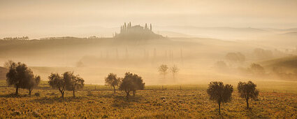 Panorama toskanische Landschaft mit Landhaus und Zypressen im Morgennebel und Sonne, Wiese mit Mohn und Olivenbäumen im Vordergrund, San Quirico d’Orcia, Val d'Orcia, Provinz Siena, Toskana, Italien