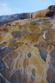 Sinterterrassen von Mammoth Hot Springs , Yellowstone National Park , Wyoming , U.S.A. , Amerika