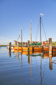 Harbour in Althagen, Baltic seaside resort Ahrenshoop, Fischland-Darss-Zingst, Baltic coast, Mecklenburg-Western Pomerania, Northern Germany, Germany, Europe