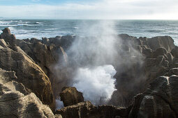 Pfannkuchen-Felsen, Blow Hole, Gischt, Brecher, Brandung der Flut, schießt durch Höhlen unter den Pancake Rocks, dramatisch, Springflut, Naturerlebnis, Kalkschichtstein, Westküste, Punakaiki, Dolomite Point, Tasman Sea, Südinsel, Neuseeland