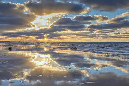 Reflections on the beach at sunset, Weststrand, Darss, Baltic sea coast, Mecklenburg Vorpommern, Germany