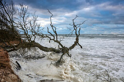 Sturm flood water on Weststrand beach, Darss, Baltic sea coast, Mecklenburg Vorpommern