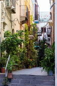 narrow alley in Lipari town, Lipari Island, Aeolian Islands, Lipari Islands, Tyrrhenian Sea, Mediterranean Sea, Italy, Europe