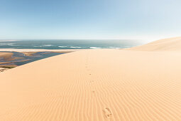 Footprints in the dunes high above the lagoons of Sandwich Harbour, Walvis Bay, Erongo, Namibia, Africa.