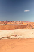 Deadvlei, eine Tonpfanne mit bis zu 500 Jahre alten abgestorbenen Akazien, Sossusvlei, Namib Naukluft Nationalpark, Hardap, Namibia, Afrika