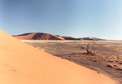 Tree skeleton near Dune 45, Sossusvlei, Namib Naukluft National Park, Hardap, Namibia, Africa.