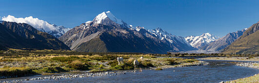 Mt Cook, Aoraki, Mackenzie, Canterbury, Neuseeländische Alpen, Südinsel, Neuseeland, Ozeanien