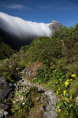 Milford Track, Great Walk, Fjordland National Park, Milford Sound, Southland, Südinsel, Neuseeland, Ozeanien