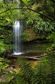 Purakaunui Falls, Wasserfall in Catlins, Clutha, Otago, Southland, Südinsel, Neuseeland, Ozeanien