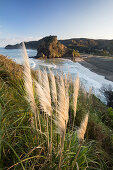 Piha,  Waitakere Ranges Regional Park, Auckland, Tasman Sea, North Island, New Zealand, Oceania
