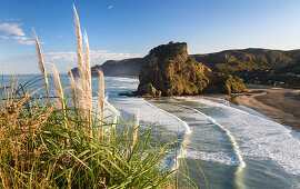 Piha, Waitakere Ranges Regional Park, Auckland, Tasmansee, Nordinsel, Neuseeland, Ozeanien