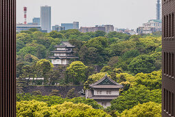 Imperial Palace between a gap of two high-rise buildings, Chiyoda-ku, Tokyo, Japan