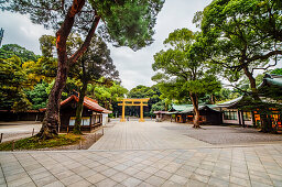 Neu errichtetes inneres Torii am Meiji Schrein, Shibuya, Tokio, Japan