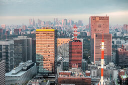 Stadtansicht Richtung Shinjuku vom Mandarin Oriental, Nihonbashi, Chuo-ku, Tokio, Japan