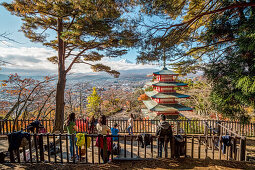 Tourists from Asia enjoying taking photos of Mt. Fuji and Chureito Pagoda in autumn, Fujiyoshida, Yamanashi Prefecture, Japan