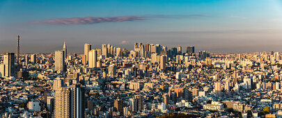 Shinjuku Skyline with Mt. Fuji and cloud at early morning, Tokyo, Japan
