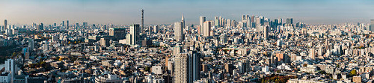 Wide angle skyline with Shinjuku at early morning, Tokyo, Japan