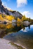 Bergsee, Spiegelung, Herbst, Laubfärbung, Lago Federa, Dolomiten, Italien