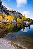 Mountain Lake, Reflection, Autumn, Autumn Foliage, Lago Federa, Dolomites, Italy