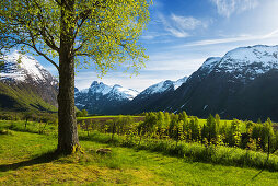 Spring, Valley, Meadow, View, Romsdal, Norway, Europe