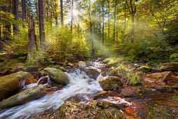 Ilse, Ilsetal, Fluss, Wald, Sonne, Harz, Herbst, Sachsen-Anhalt, Deutschland, Europa