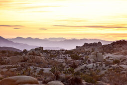 Felsformation im Sonnenaufgangslicht im Joshua Tree Nationalpark, Süd Kalifornien, USA, Amerika