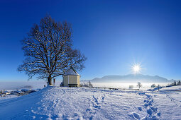 Snow covered tree and chapel with Hochries in background, Steinkirchen, Samerberg, Chiemgau Alps, Chiemgau, Upper Bavaria, Bavaria, Germany