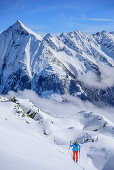 Frau auf Skitour steigt zur Nestspitze auf, Dristner im Hintergrund, Nestspitze, Zillertal, Zillertaler Alpen, Tirol, Österreich