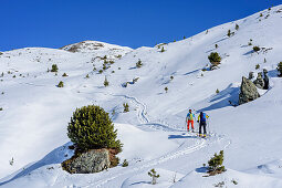 Woman and man backcountry skiing ascending towards Rosslaufspitz, Rosslaufspitze, Tuxer Alps, Tyrol, Austria