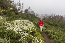 Wanderweg, Wandern, Frau mit Rucksack, rote Regenjacke, Blumen, Stauchmargerite endemisch auf La Gomera, Frühling, Kanaren, Kanarische Inseln, Spanien