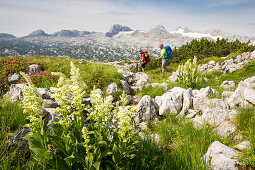 A man and a woman hiking through mountain landscape in spring at Mount Krippenstein, Dachstein area, Upper Austria, Austria, Europe
