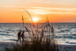 Ein Paar geht am Strand am Golf von Mexiko zum Sonnenuntergang spazieren, Boca Grande, Florida, USA