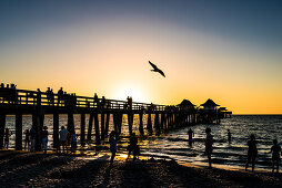 Sunset at the popular public beach at Naples pier at the Gulf of Mexico, Naples, Florida, USA