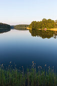 Lakes of Feldberg, Breiter Luzin, Feldberg, Mecklenburg lakes, Mecklenburg lake district, Mecklenburg-West Pomerania, Germany, Europe