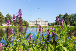 Schloss Ludwigslust, von vorn, See, Blumen, Mecklenburgische Seen, Mecklenburgisches Seenland, Ludwigslust, Mecklenburg-Vorpommern, Deutschland, Europa