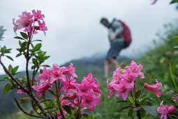 Young woman hiking to the Kemptener Hütte in the Alps