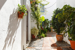 Alley in Frigiliana, pueblo blanco, white village, Malaga province, Andalucia, Spain, Europe