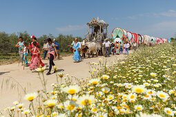 Blooming meadow in Spring, caravan of ox carts, Simpecado cart, El Rocio, pilgrimage, Pentecost festivity, Huelva province, Sevilla province, Andalucia, Spain, Europe