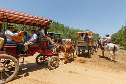 People in carriages, guitar, El Rocio, pilgrimage, Pentecost festivity, Huelva province, Sevilla province, Andalucia, Spain, Europe
