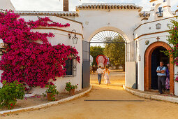 Gateway and chapel of a country Estate, El Rocio pilgrimage, Pentecost festivity, Huelva province, Sevilla province, Andalucia, Spain, Europe