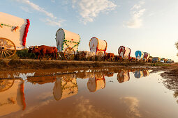 Karawane der Ochsenkarren, Wasserspiegelung, El Rocio, Wallfahrt nach El Rocio, Fest, Pfingsten, Provinz Huelva, Provinz Sevilla, Andalusien, Spanien, Europa