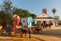 Ermita de Cuatrovitas, Kapelle, Ochsenkarren, El Rocio, Wallfahrt nach El Rocio, Fest, Pfingsten, Provinz Huelva, Provinz Sevilla, Andalusien, Spanien, Europa