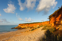 Cala del Aceite, bay and beach near Conil, Costa de la Luz, Cadiz province, Andalucia, Spain, Europe