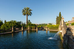 pond and palm tree in the gardens of the Alcazar de los Reyes Cristianos, royal residence, historic centre of Cordoba, UNESCO World Heritage, Cordoba, Andalucia, Spain, Europe