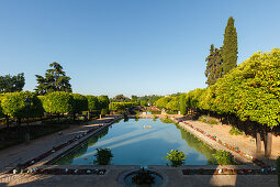pond and cypress trees in the gardens of the Alcazar de los Reyes Cristianos, royal residence, historic centre of Cordoba, UNESCO World Heritage, Cordoba, Andalucia, Spain, Europe