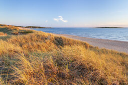 Strand von Tylösand, Halmstad, Halland, Südschweden, Schweden, Skandinavien, Nordeuropa, Europa