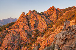 Red rocks of the Calanche in evening light, between Porto and Piana, West Corsica, Corsica, Southern France, France, Southern Europe, Europe
