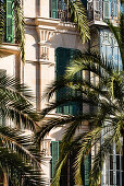 Splendid houses in the old town with palmtrees, Palma de Mallorca, Mallorca, Spain